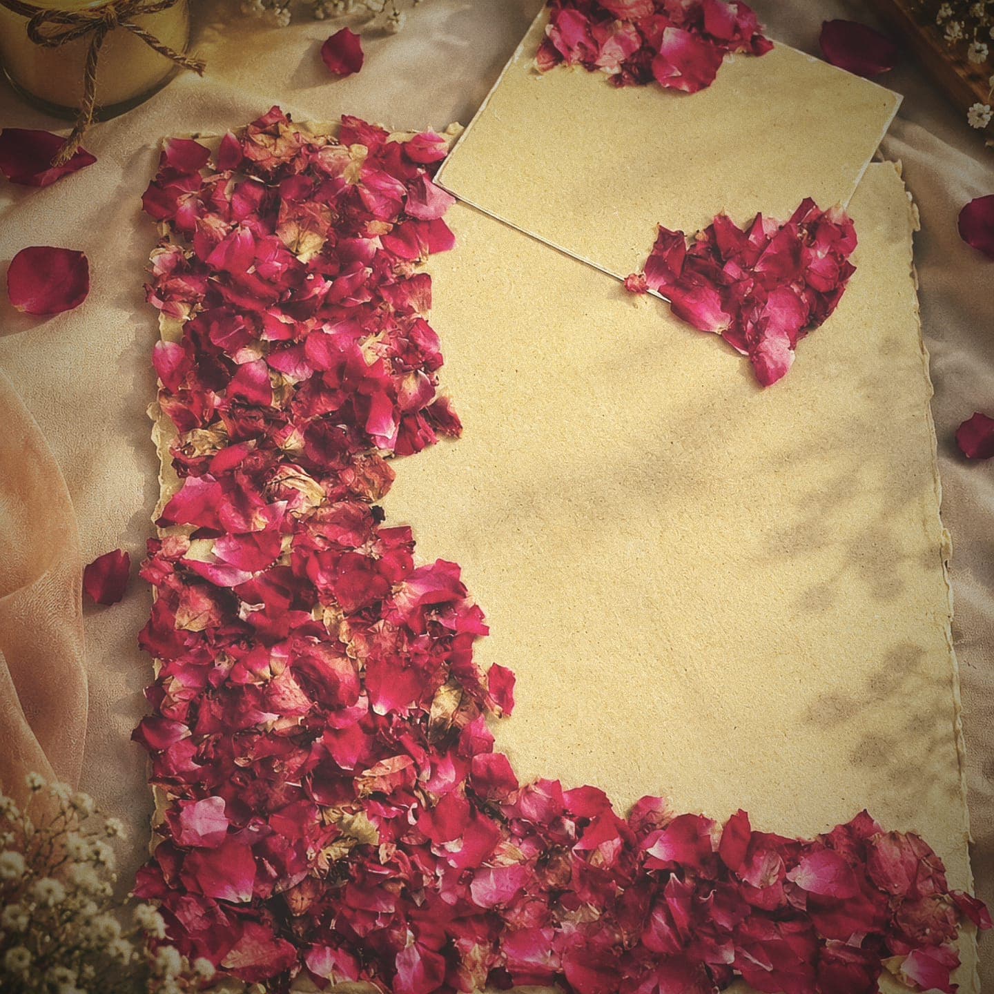 Pipzo photo 4